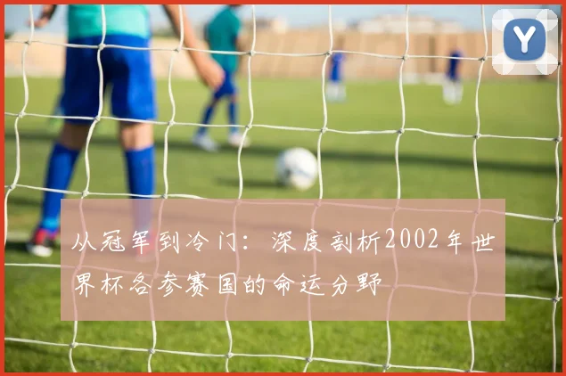 从冠军到冷门：深度剖析2002年世界杯各参赛国的命运分野