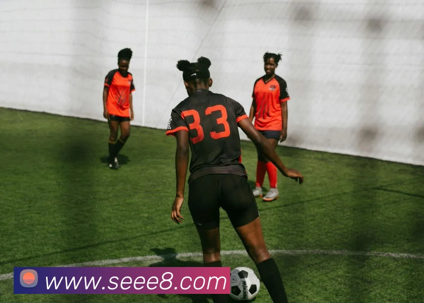 奖项证书